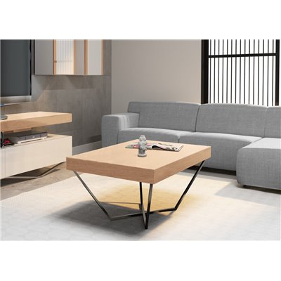 copy of Rimini Standard - Ława 100x60 Spider