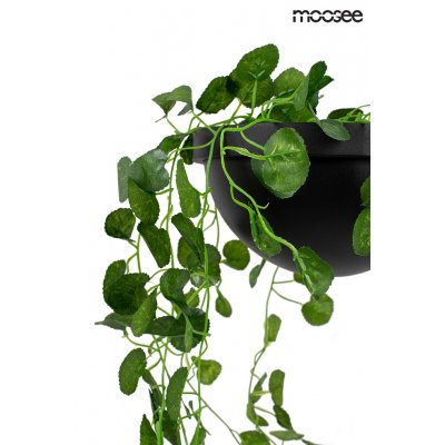MOOSEE lampa ścienna PLANT WALL czarna