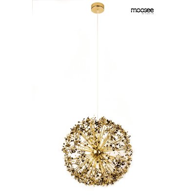 MOOSEE lampa wisząca MONETE 50 złota