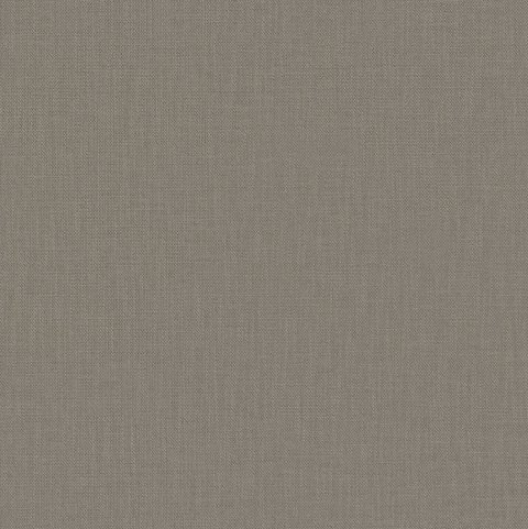 Fiction 4004 taupe gray