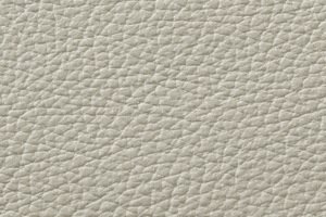 EV - 41 Light grey