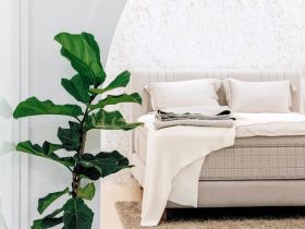 Łóżko kontynentalne co to?